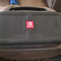 Nintendo Case