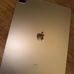 iPad Pro 12.9 256GB Wi-Fi + Cellular 