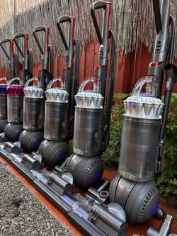 Dyson Ball Animal Pro Vacuum