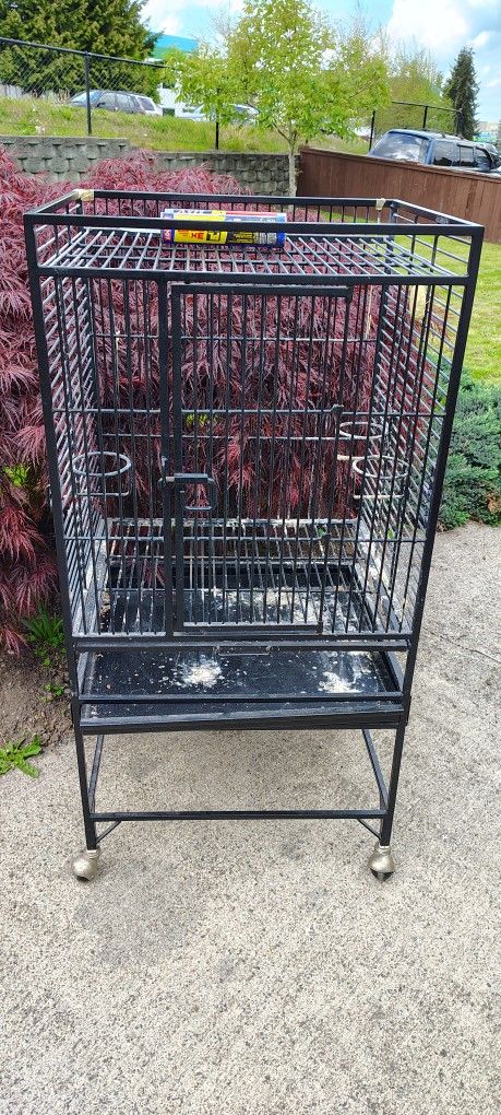 Bird Cage