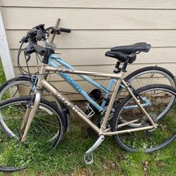 Trek And Schwinn Bikes