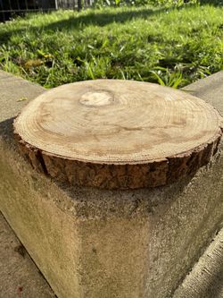 Decorative Wood Slice