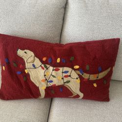 Pillow - Pottery barn 