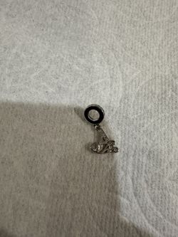 Pandora Charms