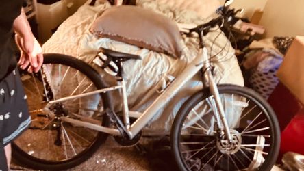 Trek verve 3 disk low step