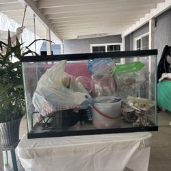Fish Tank With Accesorias 