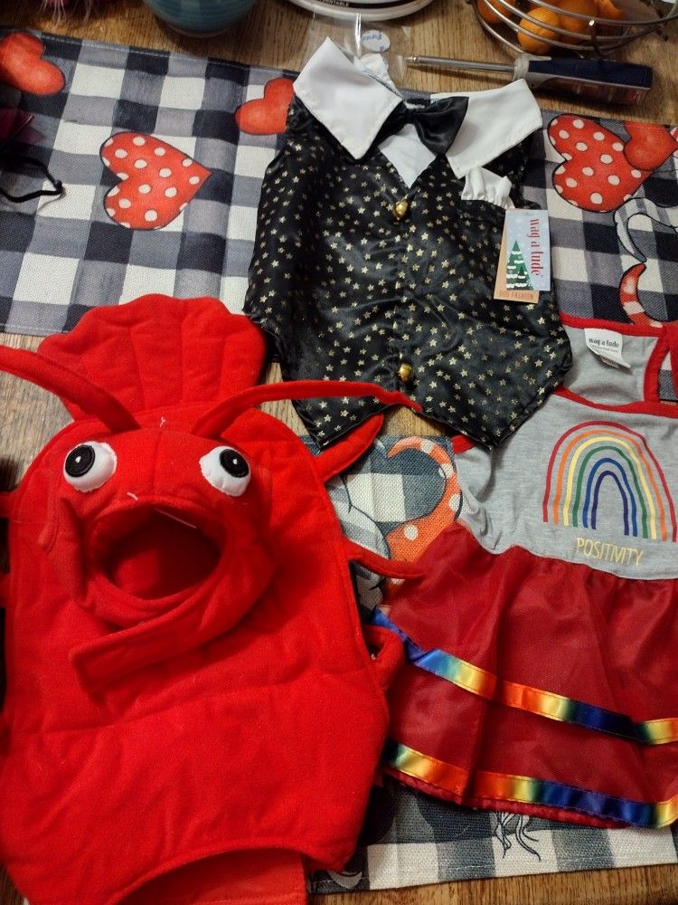 Animal Clothing