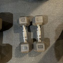 10 Lb Dumbbell Pair 