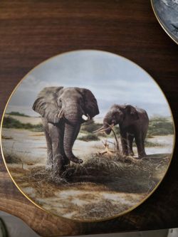 Elephants at Kilimanjaro Collection Plate