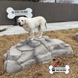 XL Luxury Dog Park Climbing Boulder (Commercial Grade) Pick Up Only (XL Large)
