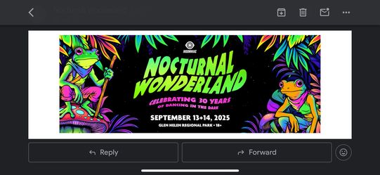 Nocturnal Wonderland Wrist Band-camp