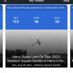 Harry Styles Love on Tour 8/28 MSG Show