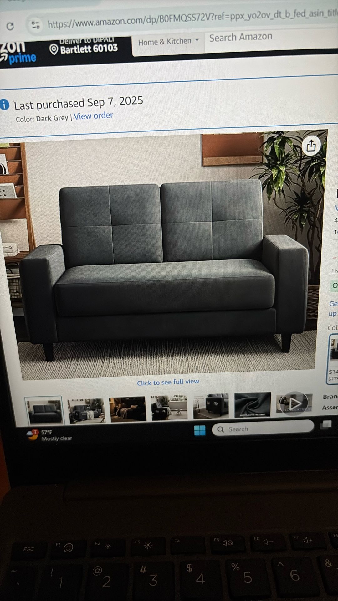 Loveseat Sofa/sofa