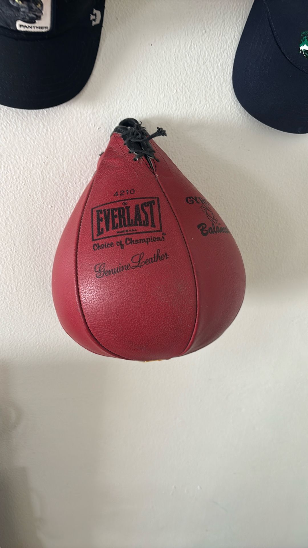 everlast Speed Bag