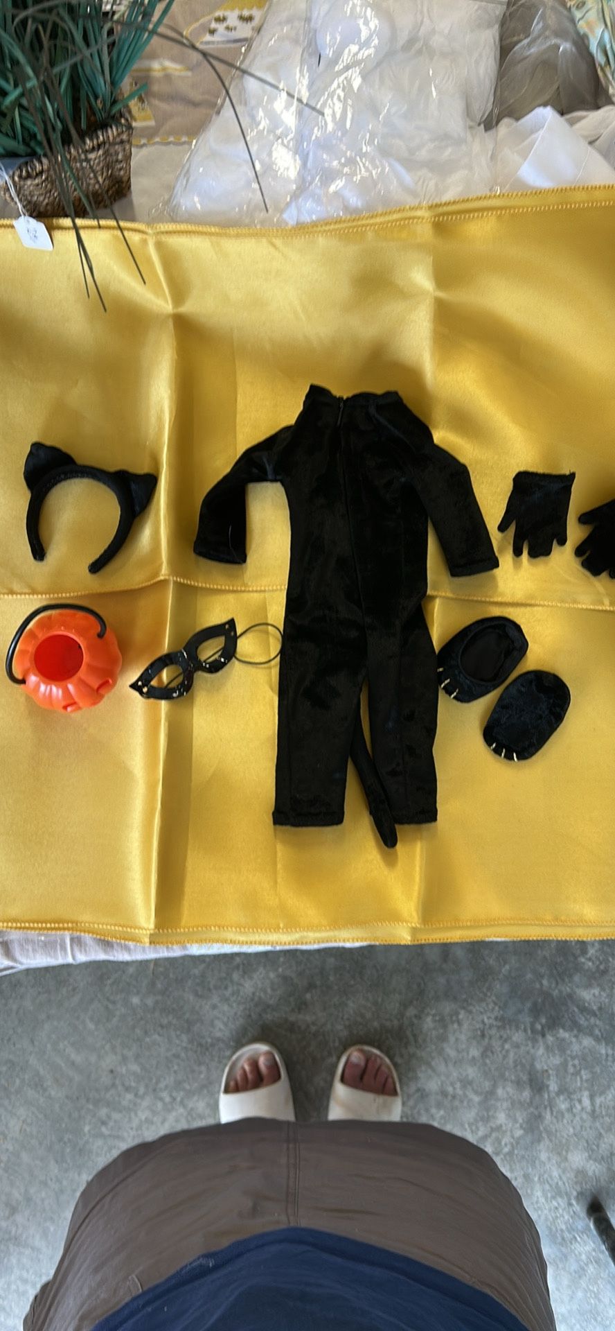 American Girl Kitty Cat Costume!