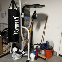 Everlast Punching Bag Combo