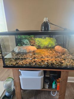 Fish/Turtle  tank 40 gallon Complete.