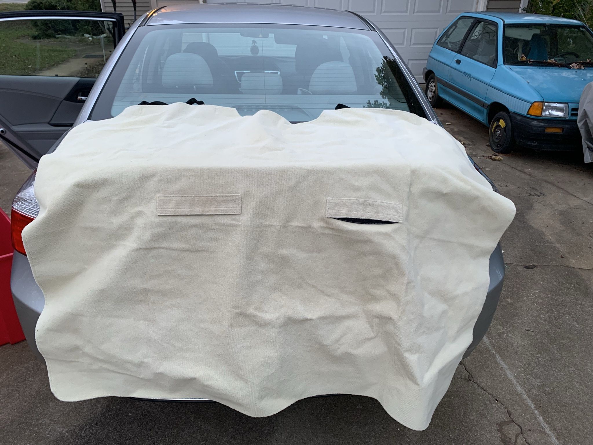 Pet Car Seat Protector