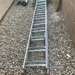 Ladder (Pick Up Only)