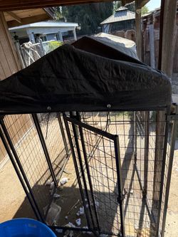 Kennel