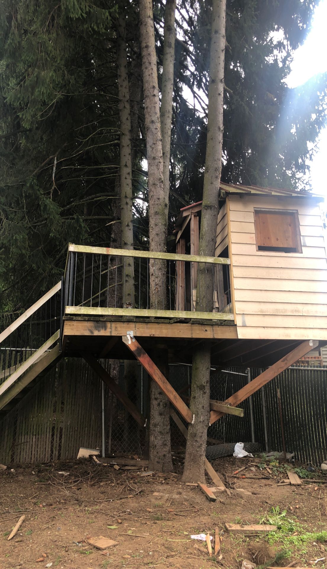 Tree house