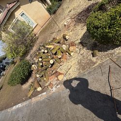 Free Chinese Pistachio FREE ROUNDS 