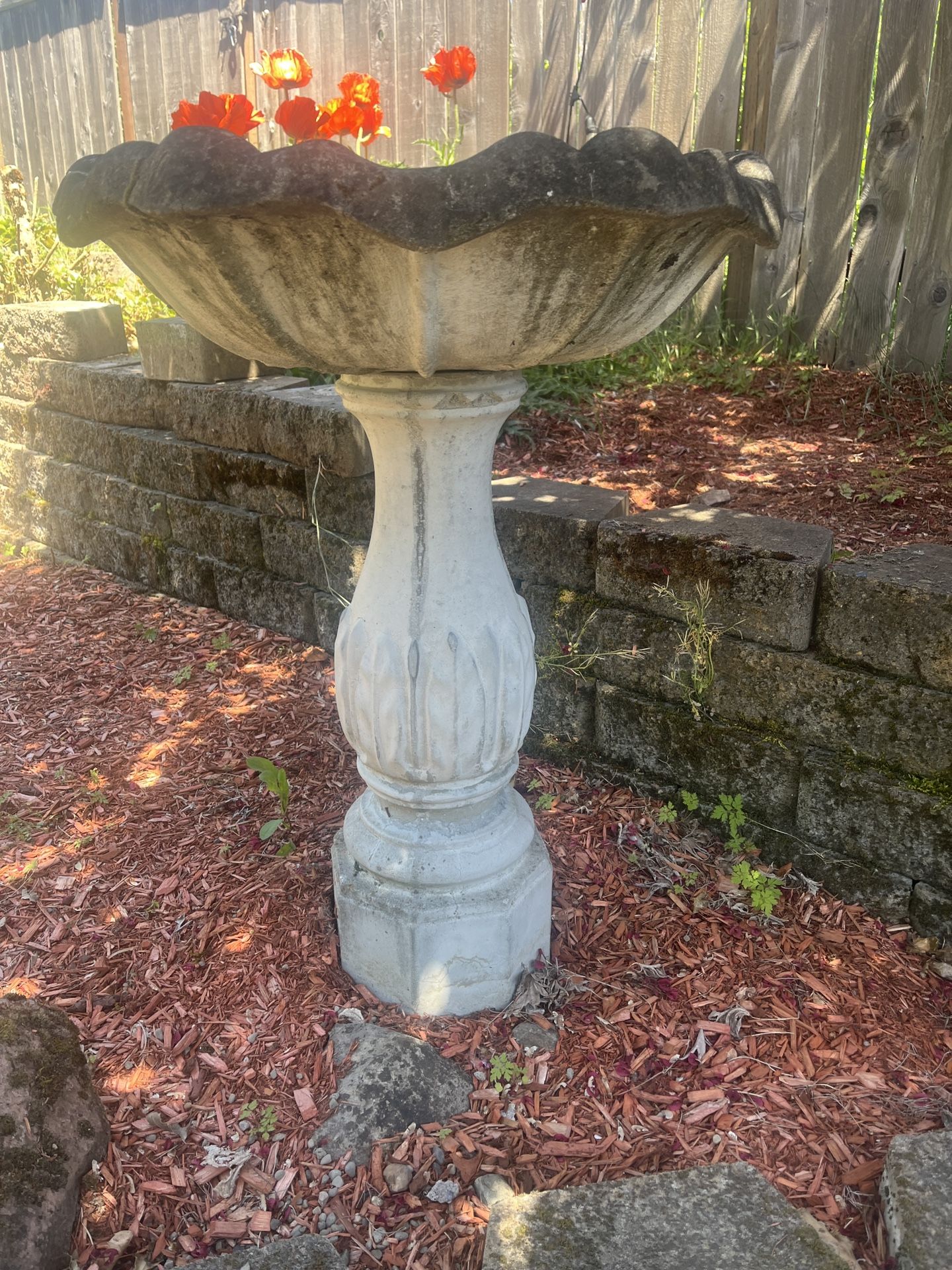 Bird Bath