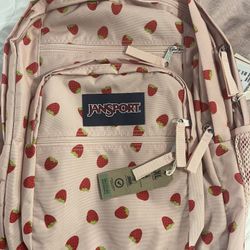 Back Pack In  Raleigh