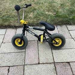 Mini Rocker Royal BMX Bike