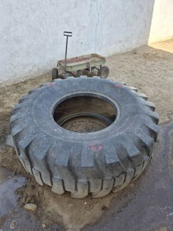workout tire or goats love them too
