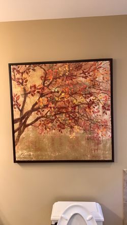 36” x 36”