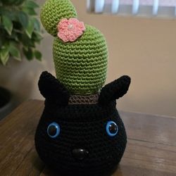 Cat Succulent Cacty 