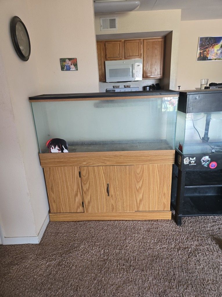 Reptile/ Fish Tanks 