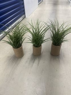 Decretive Plants