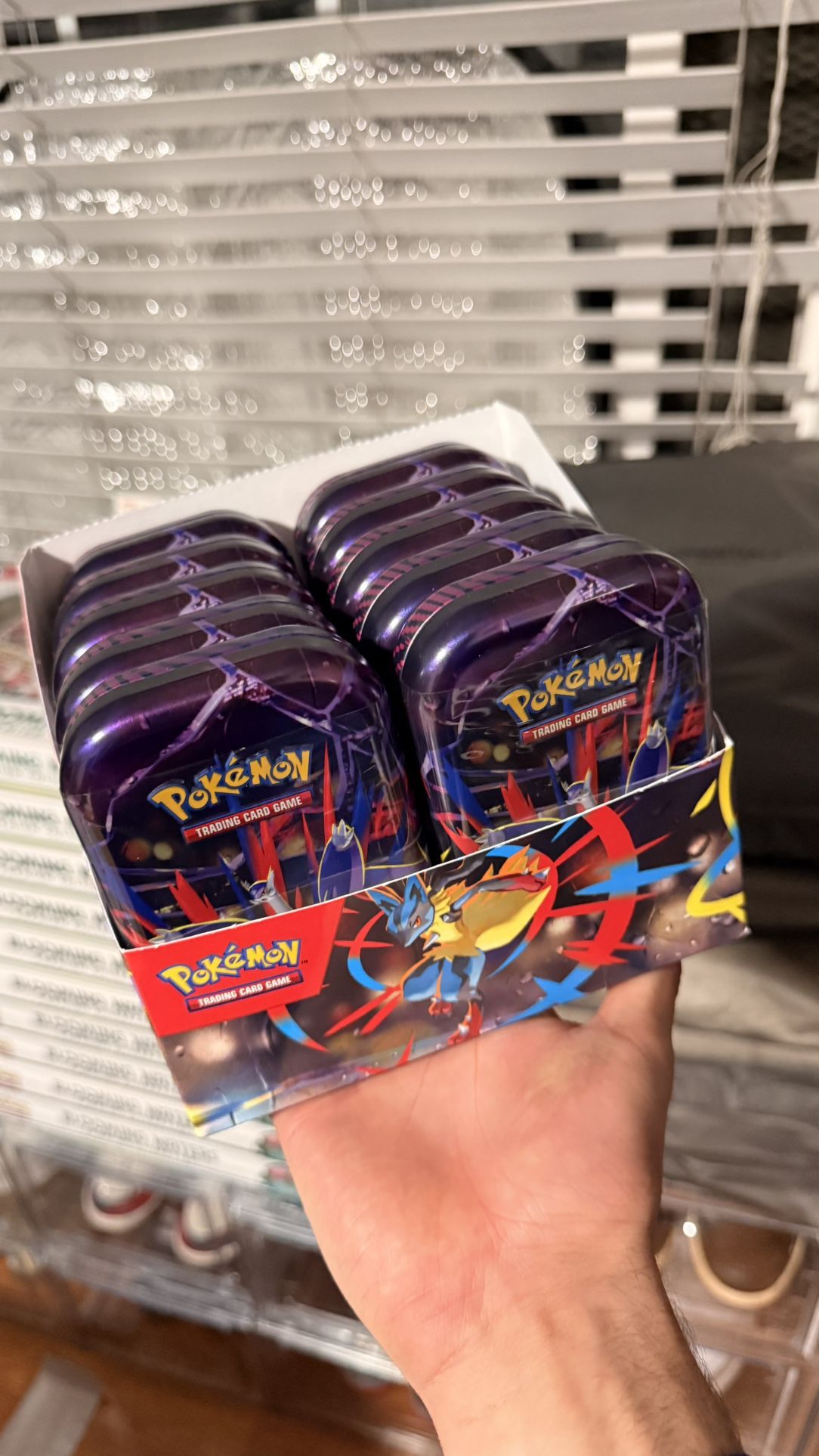 Pokemon Mega Evolution Mini Tin Display 