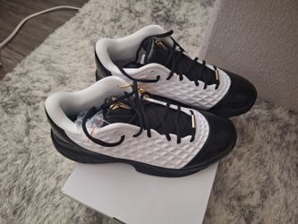 Kobe3 mambacita
