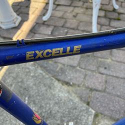 Vintage Locust 1984 Bicycle 