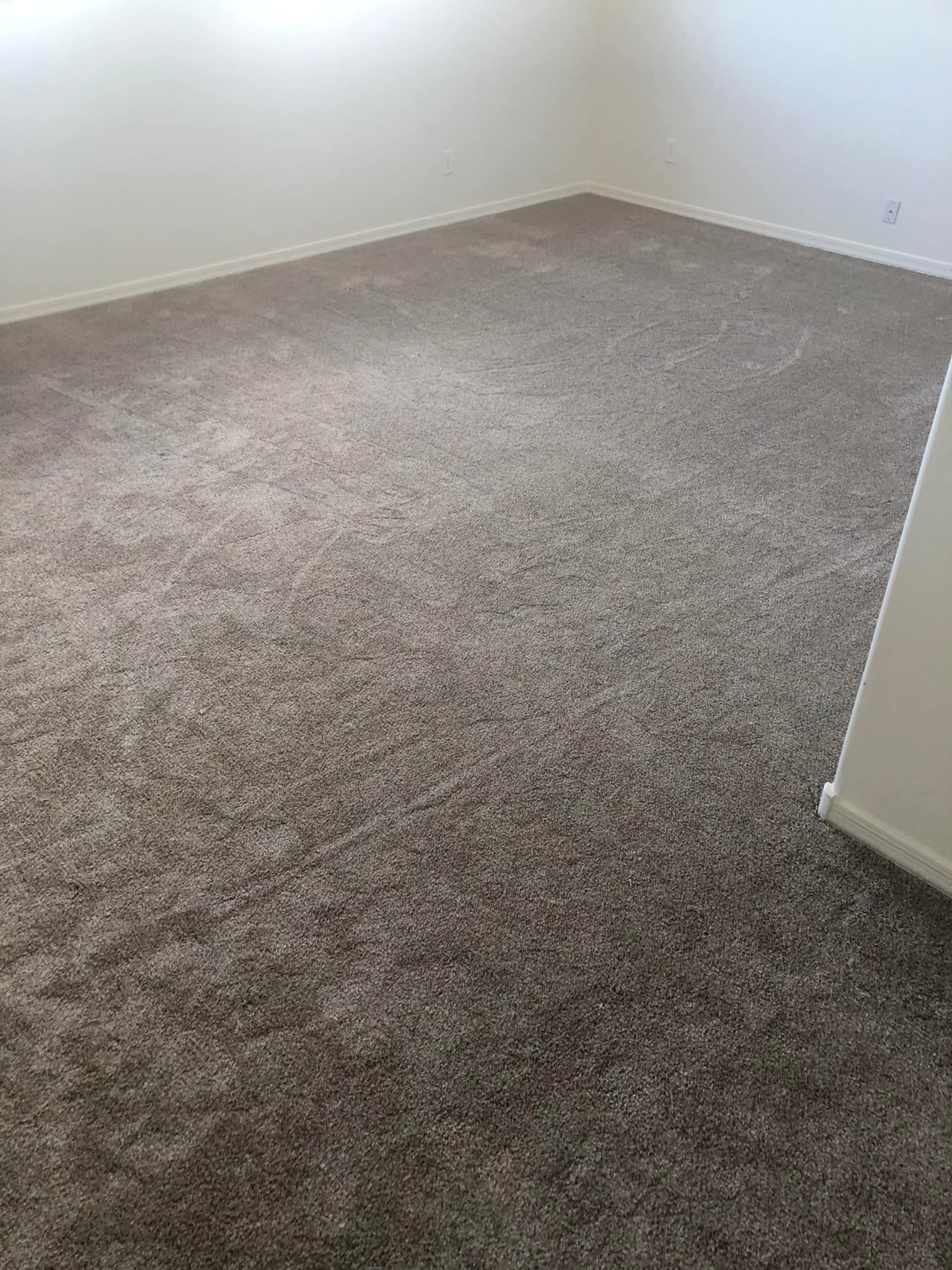 Carpet