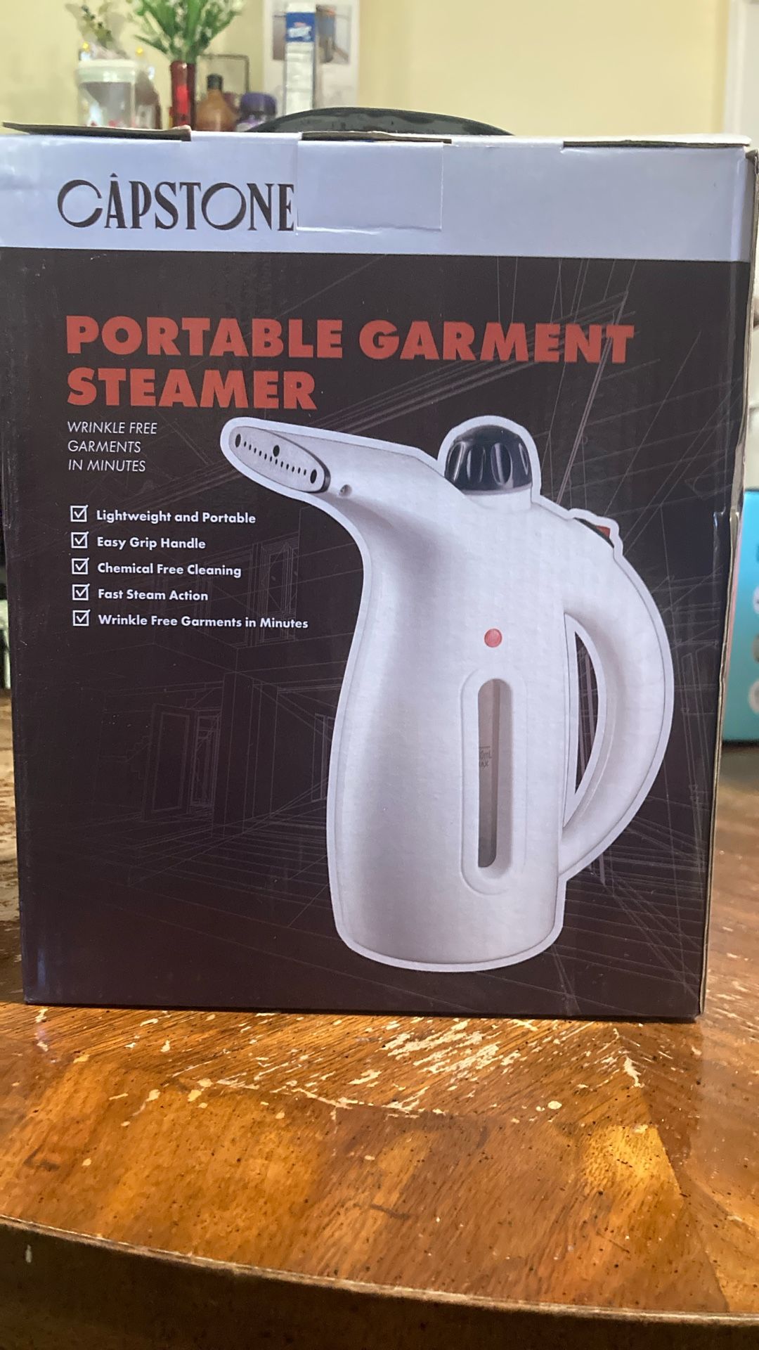 Portable Garment Steamer