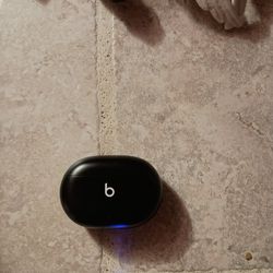 Beat Noise Enhancing Ear Buds 