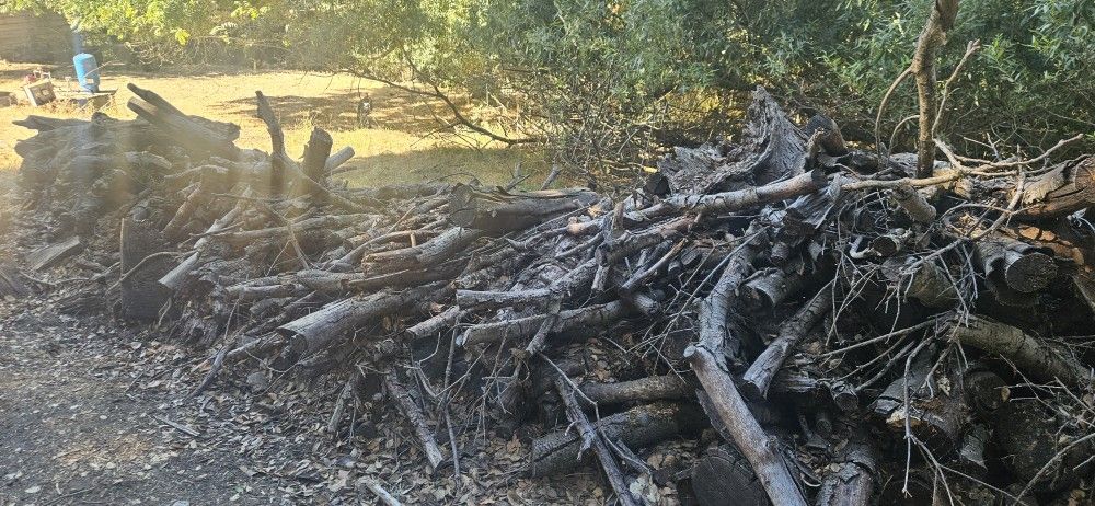 Seasoned Firewood 