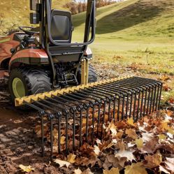 60" Tow Behind Landscape Rake, 3 Point Quick Hitch Lawn Dethatcher Rakes with 26 Steel Tines for Category 1 Tractors, Heavy Duty Powder Coated Finish 