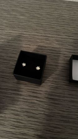 0.5 Carat Moissanite Stud Earrings (925 Silver) – Diamond Look, Pass Tester 💎