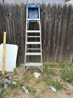 Aluminum Ladder