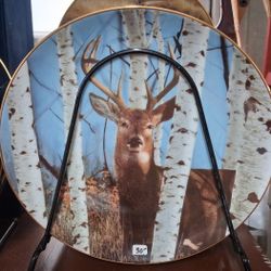 Collector's China Plate