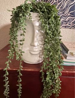 Fake Plant Head Statue