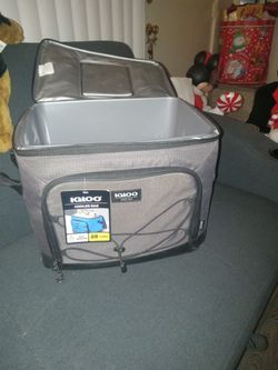 Igloo Cooler Bag