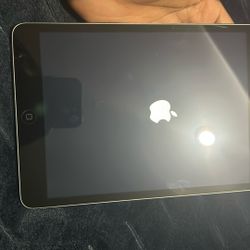 Apple IPad Mini 2 (2013)