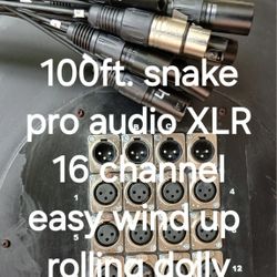 100ft. Pro Audio Snake Cable On Easy Wind Up Rolling Dolly, Excellent Condition 