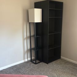 2 Black Bookshelves Matching Black standing Lamp